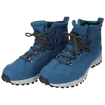 Amazon | ダイワ(DAIWA) フィッシングシューズ ブルー 27.0 DS